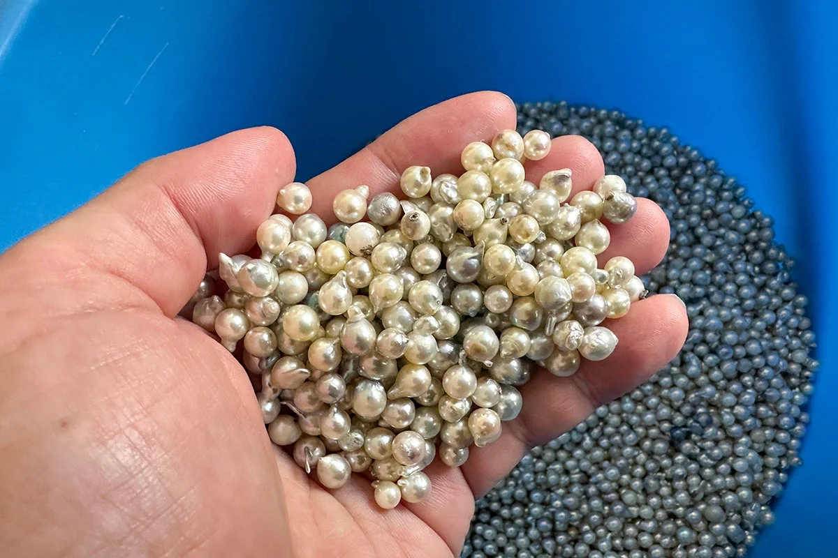 手のひらに乗ったバロック真珠